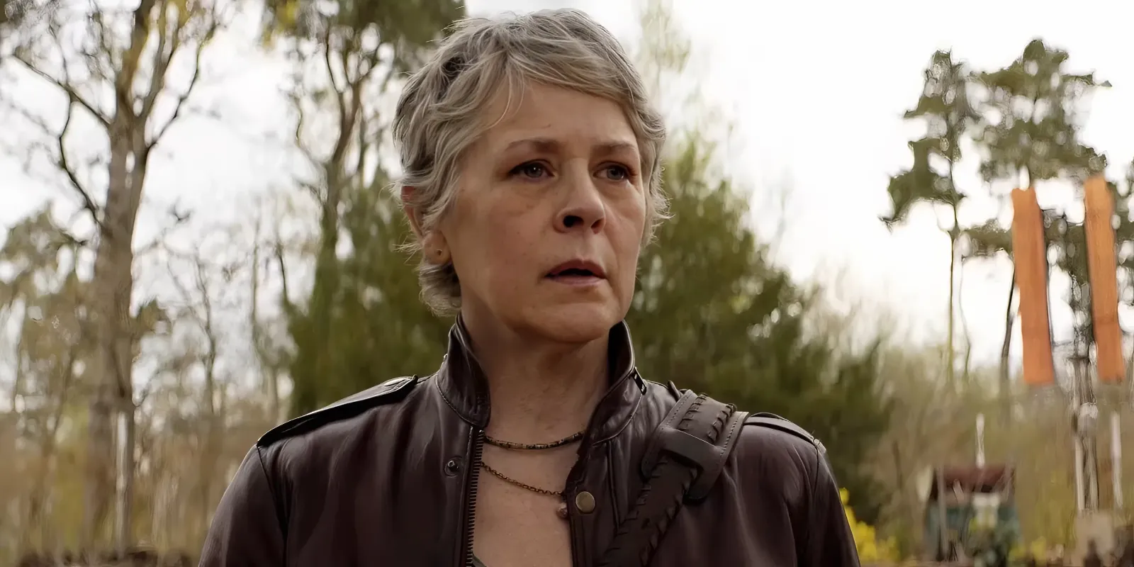 Walking Dead: Daryl Dixon Season 2 Trailer Teases Emotional Carol & Daryl Reunion