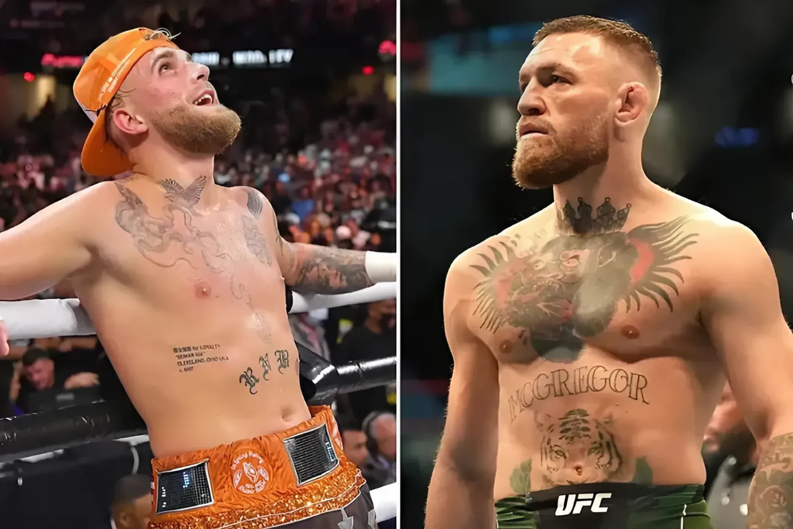 UFC Hall of Famer's astonishing claim: Jake Paul has a better record than Canelo and McGregor trucc