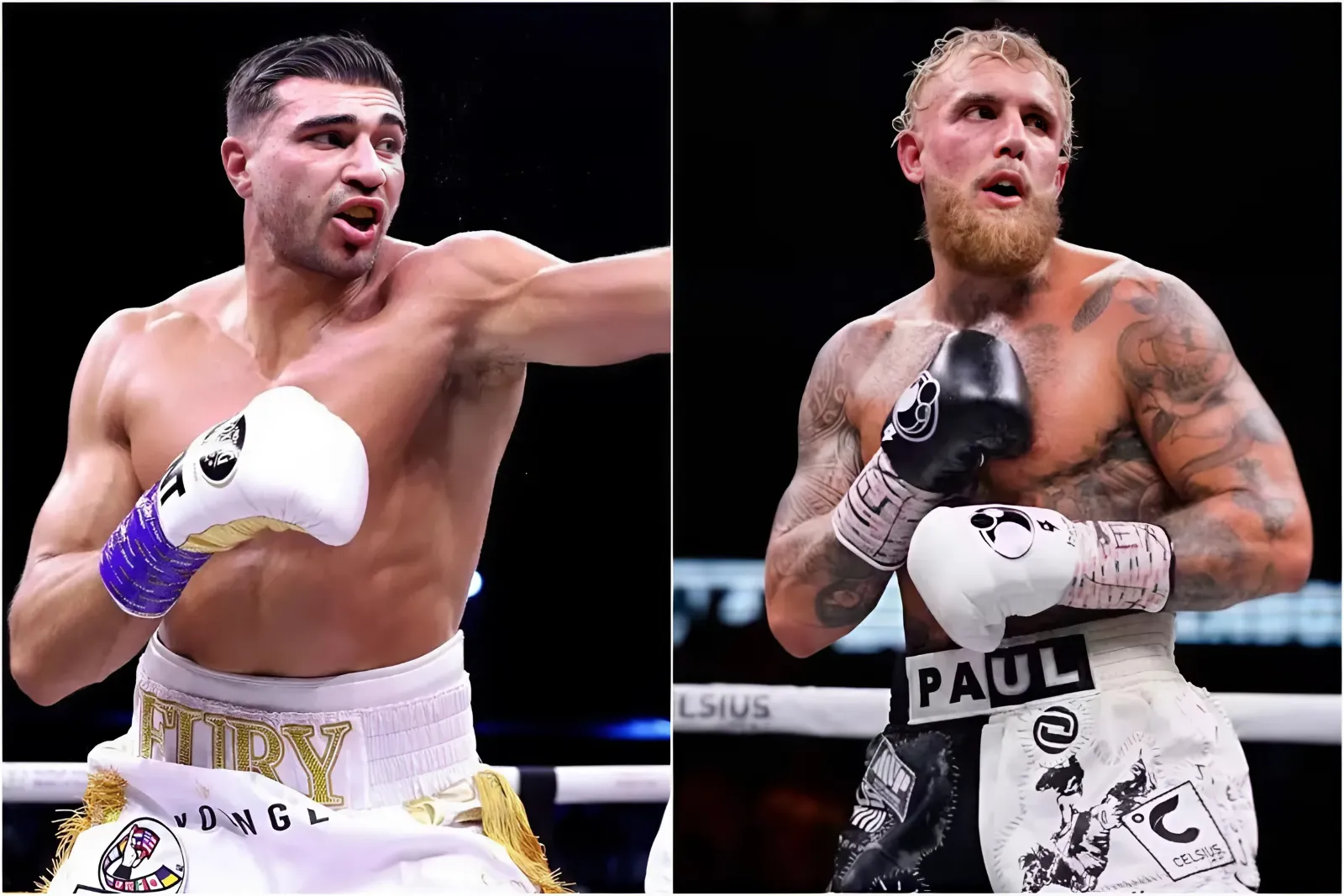 Jake Paul Eyes Rematch With Tommy Fury Amid MMA Promises trucc