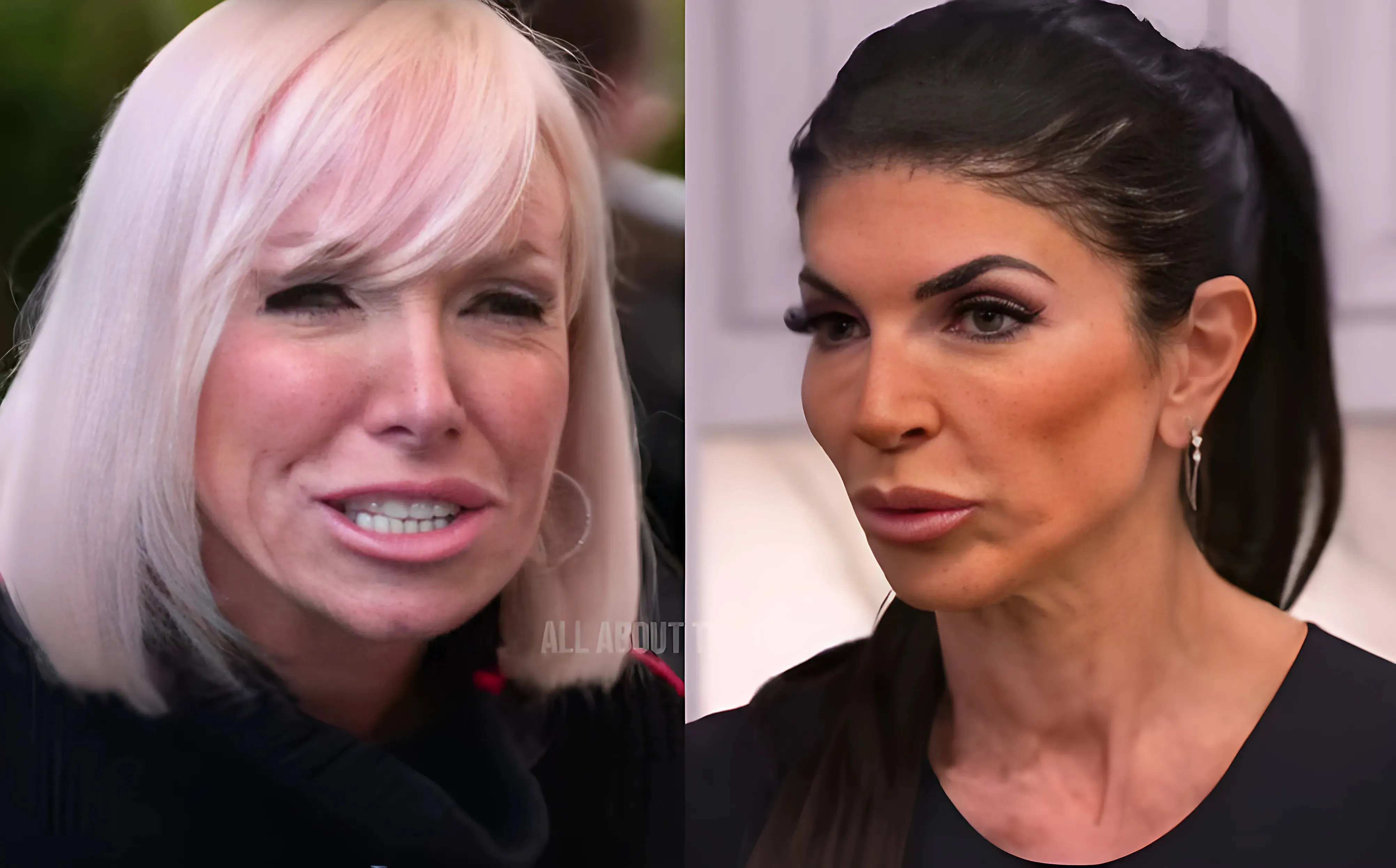 ‘RHONJ’ RECAP: Margaret Josephs Exposed By Teresa Giudice’s Attorney trucc