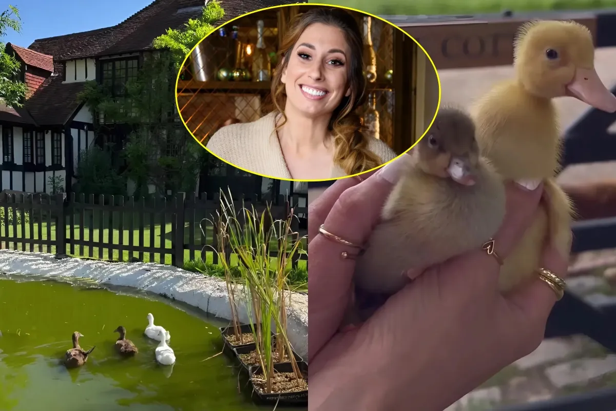 Stacey Solomon issued stark warning as she shows off ‘months of hard work’ at Pickle Cottage ngocc