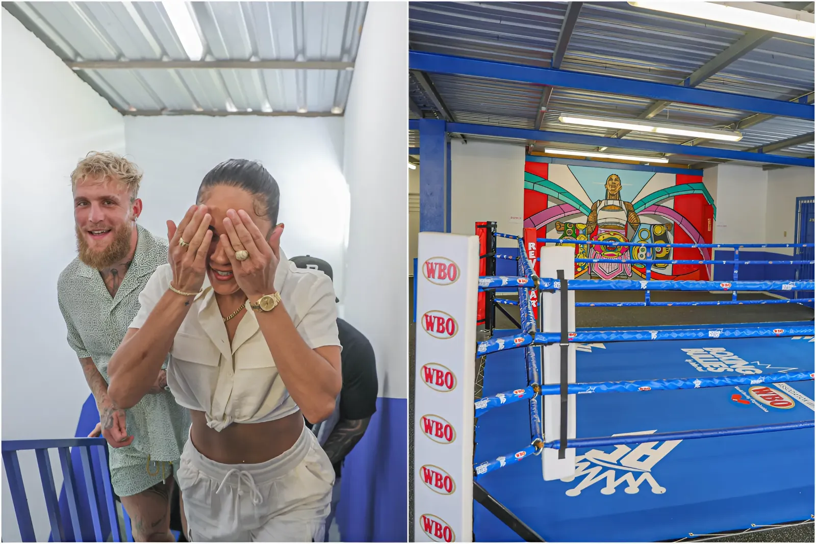 WBO and Jake Paul’s Boxing Bullies renovate another gym in Puerto Rico trucc