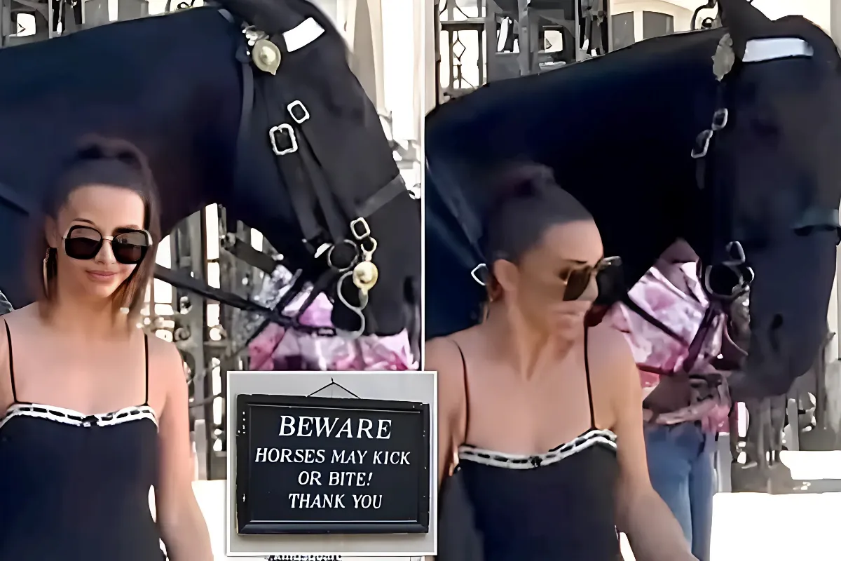 The moment Vanderpump Rules star Scheana Shay gets BITTEN by King's Guard horse... as she becomes latest London tourist to ignore warning sign hangg