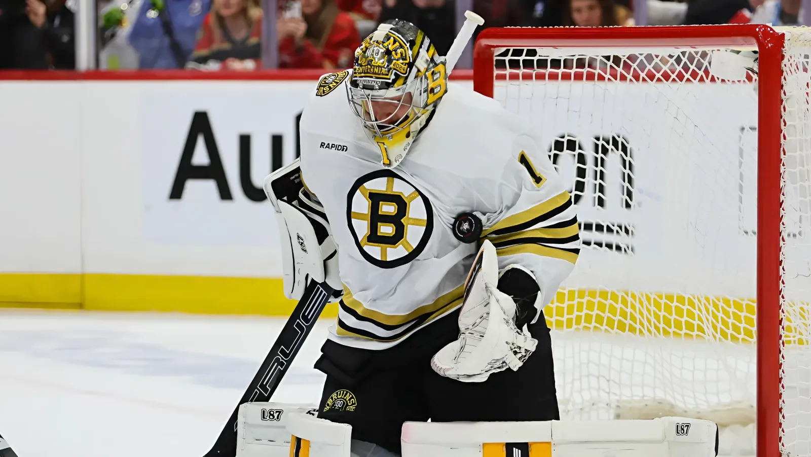 Star goaltender confident he will remain with Boston Bruins