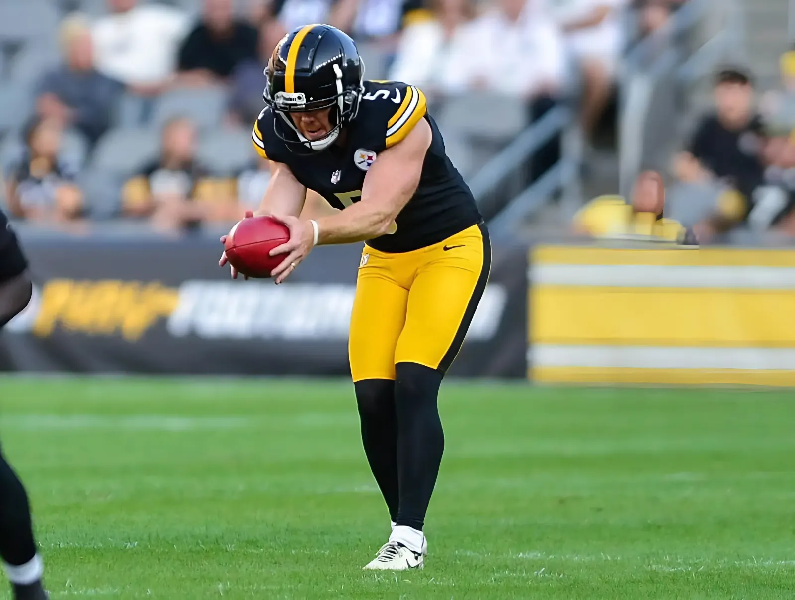 Steelers Punter Cameron Johnston Surprise Highlight from Bills Game