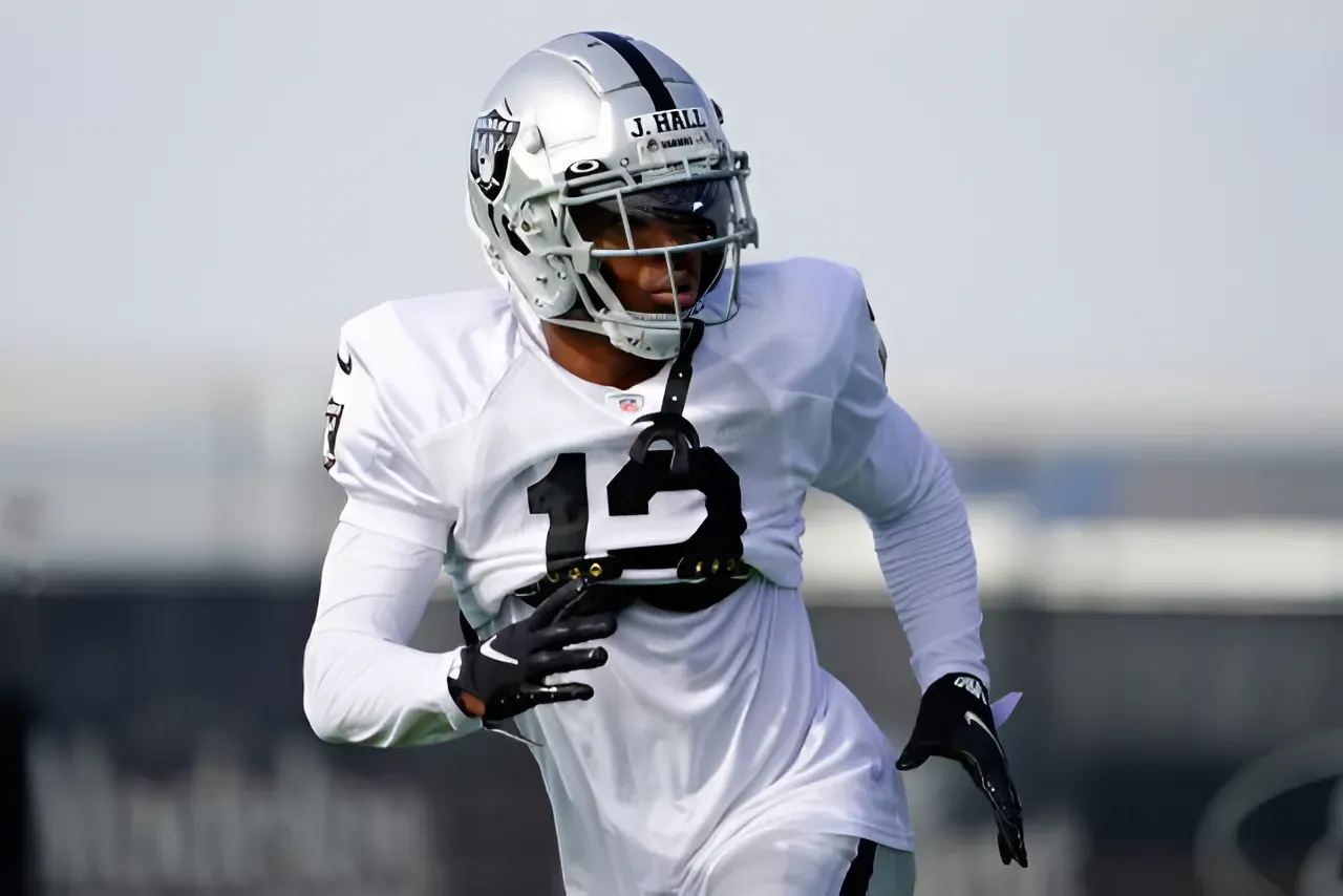 Vikings Ink Former Raiders Wide Receiver Amid Depth, Injury Issues