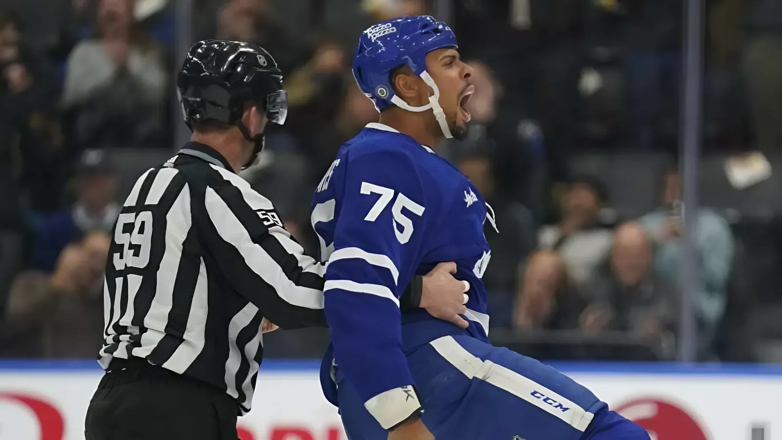 Maple Leafs Forward Named NHL's Top Tough Guy