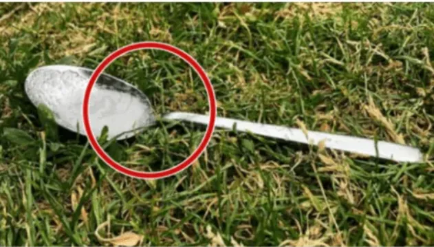 Always Put A Spoon Of Sugar In Your Backyard Before Leaving The House. Here’s Why👇 Always Put A Spoon Of Sugar In Your Backyard Before Leaving The House. Here’s Why👇