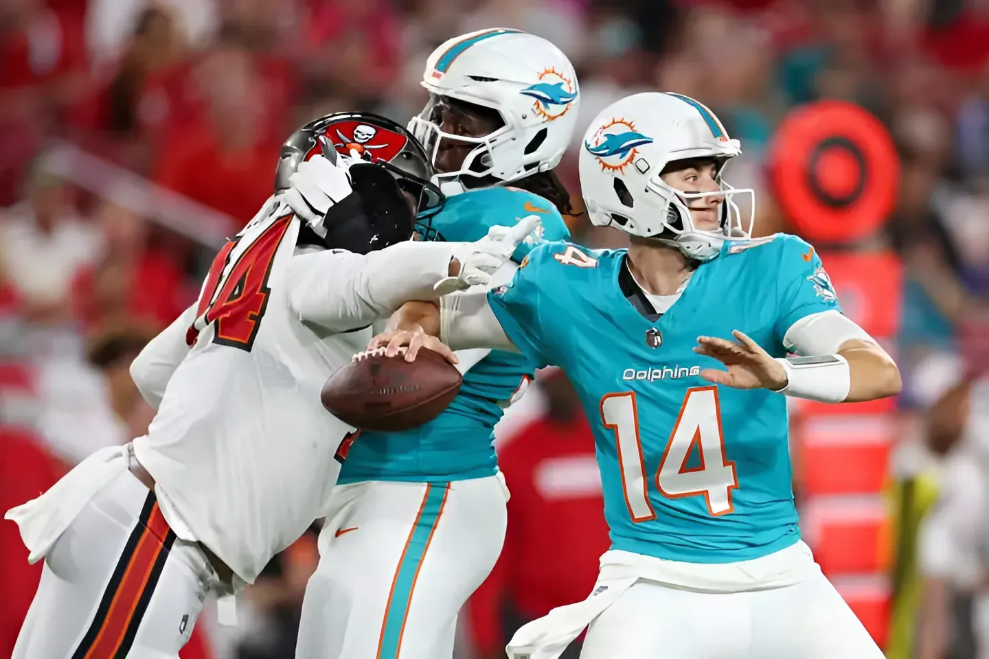 Packers News: Should Consider Former Miami Dolphins Backup Quarterback