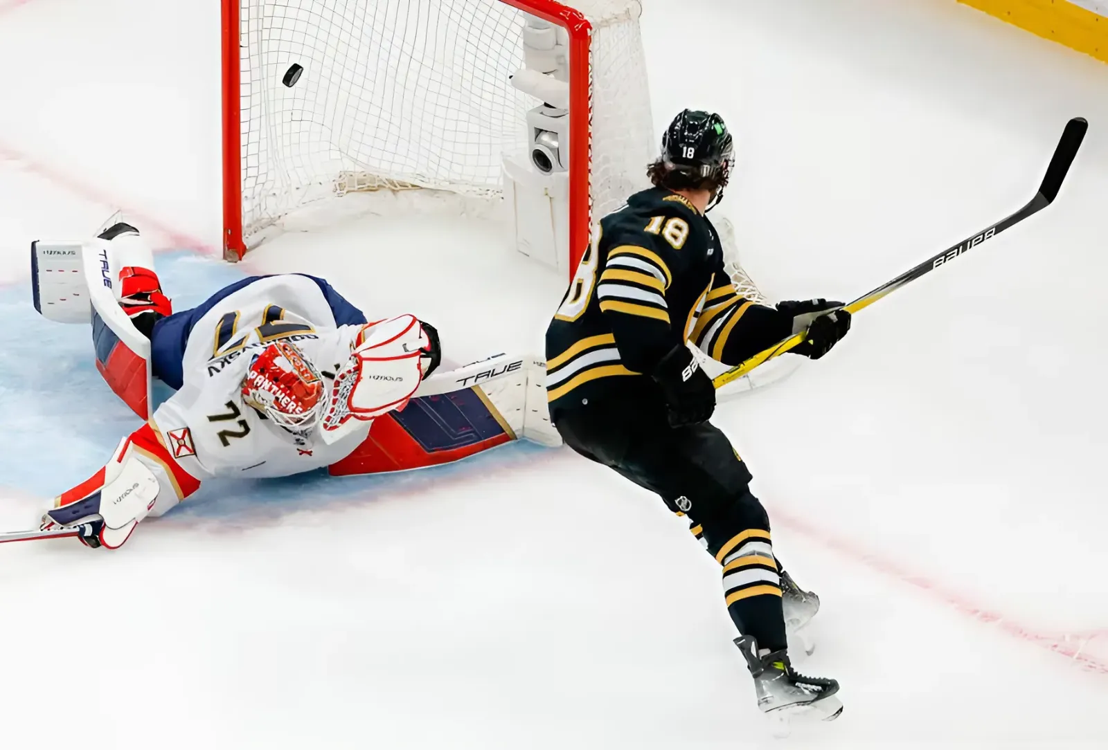 Bruins’ Zacha Provides Versatility and Consistency