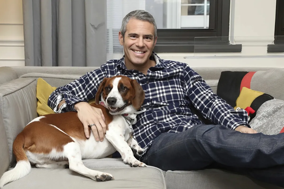 Andy Cohen is coming to town to help JFS celebrate 175 years in Richmond ngocc