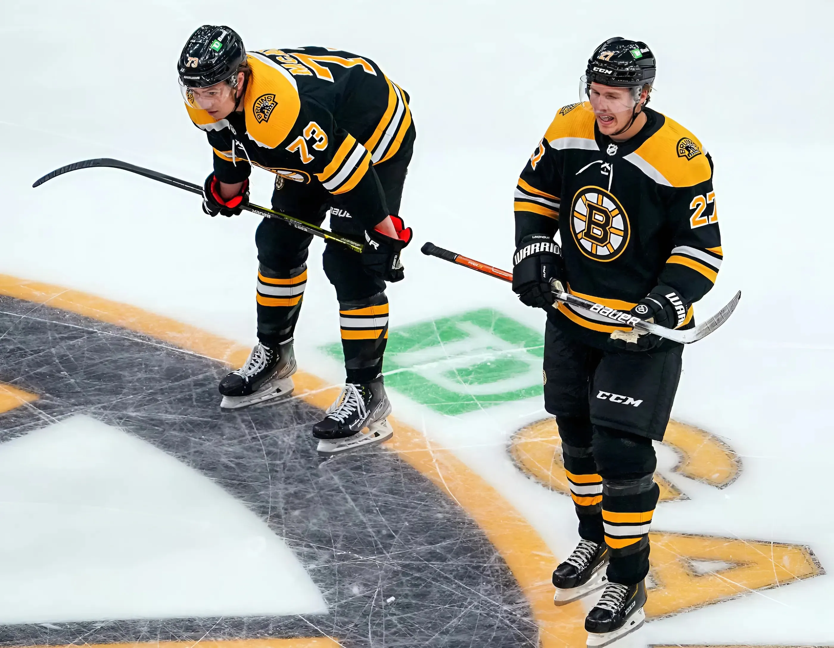 Bruins Star Removed From Top Defenders List