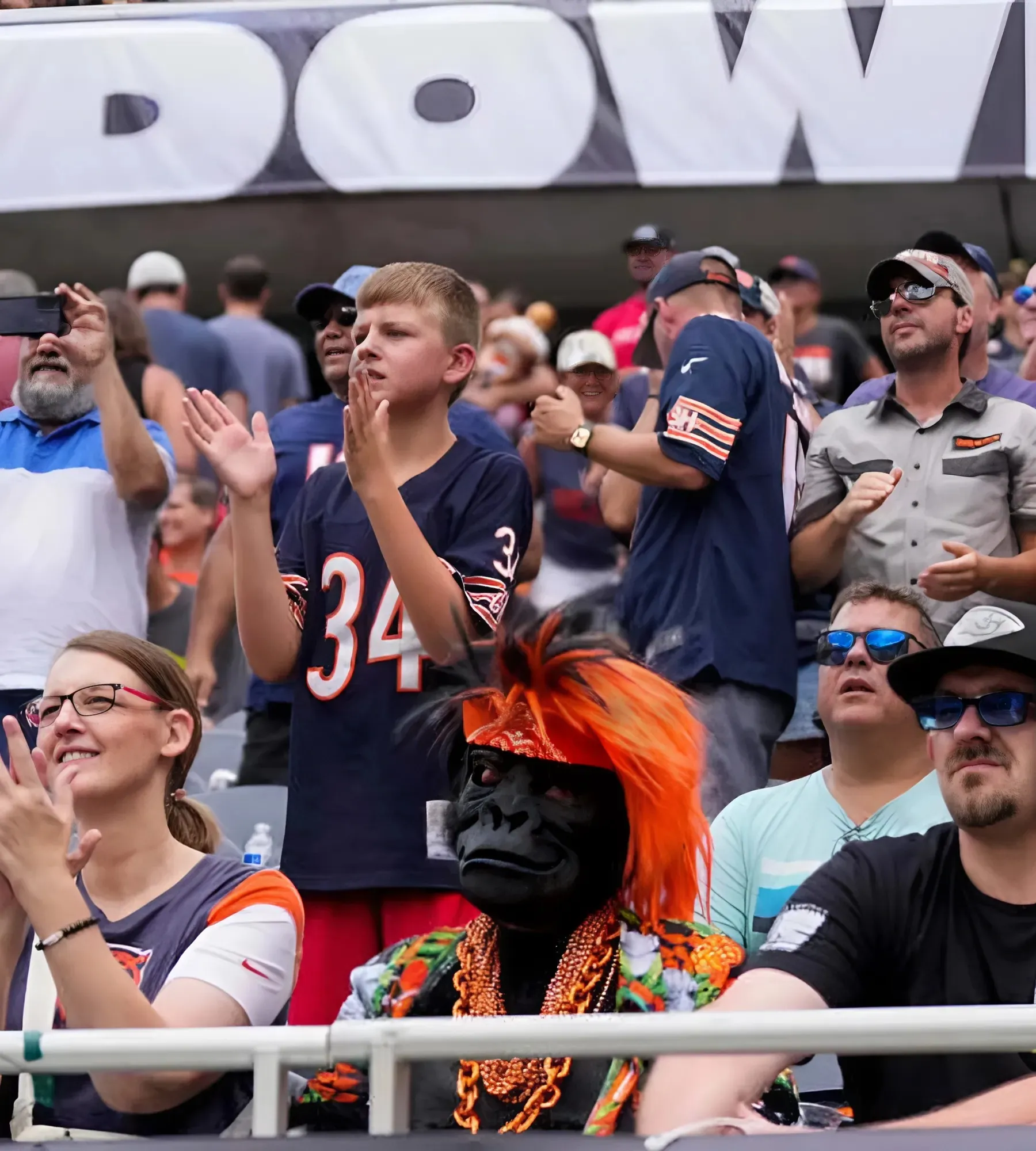 Bears Looking Super to at Least One National Media Personality