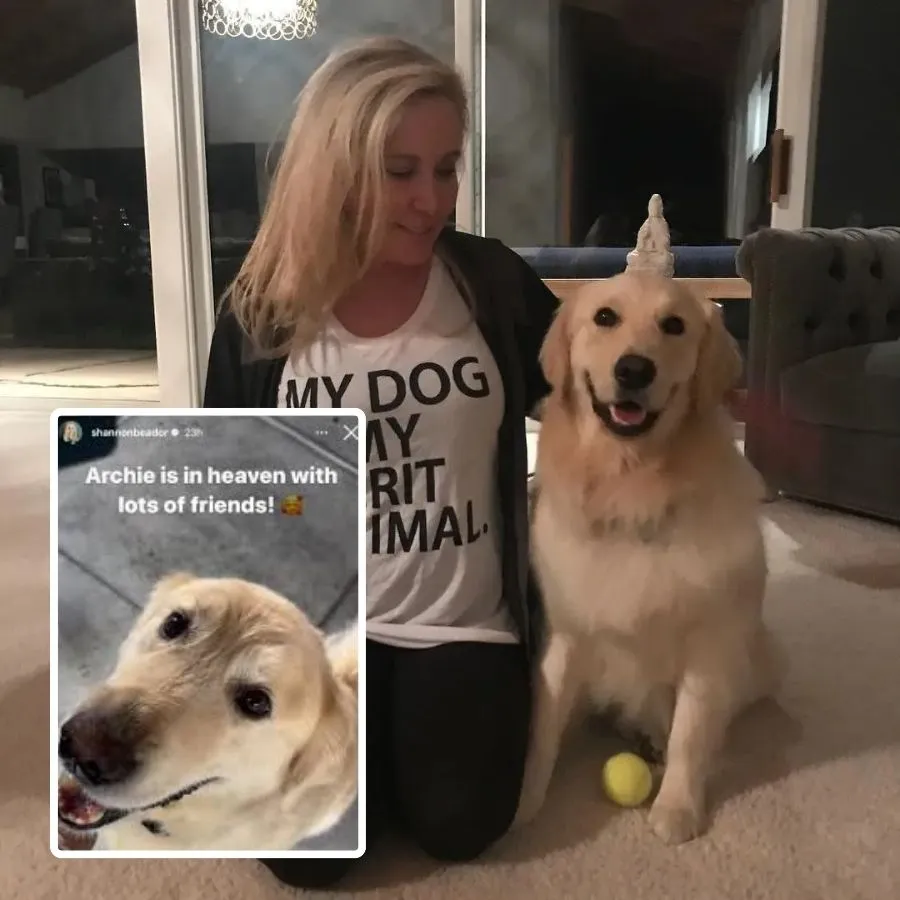 Shannon Beador Explains Her Beloved Dog Archie Is Alive After Saying He Was 'In Heaven'