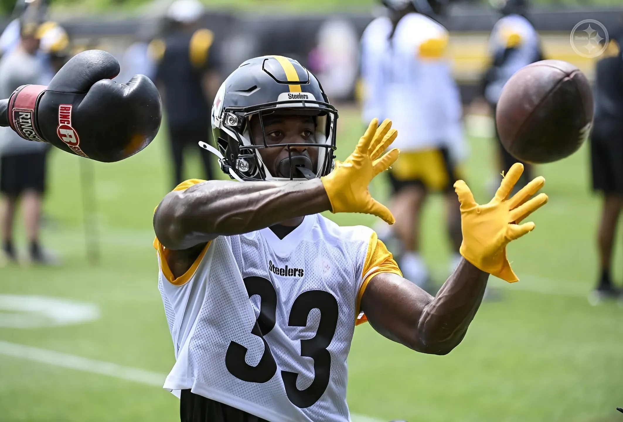 Steelers Lose Veteran RB to Injury, Bring Back Recently Cut Former Harvard Star