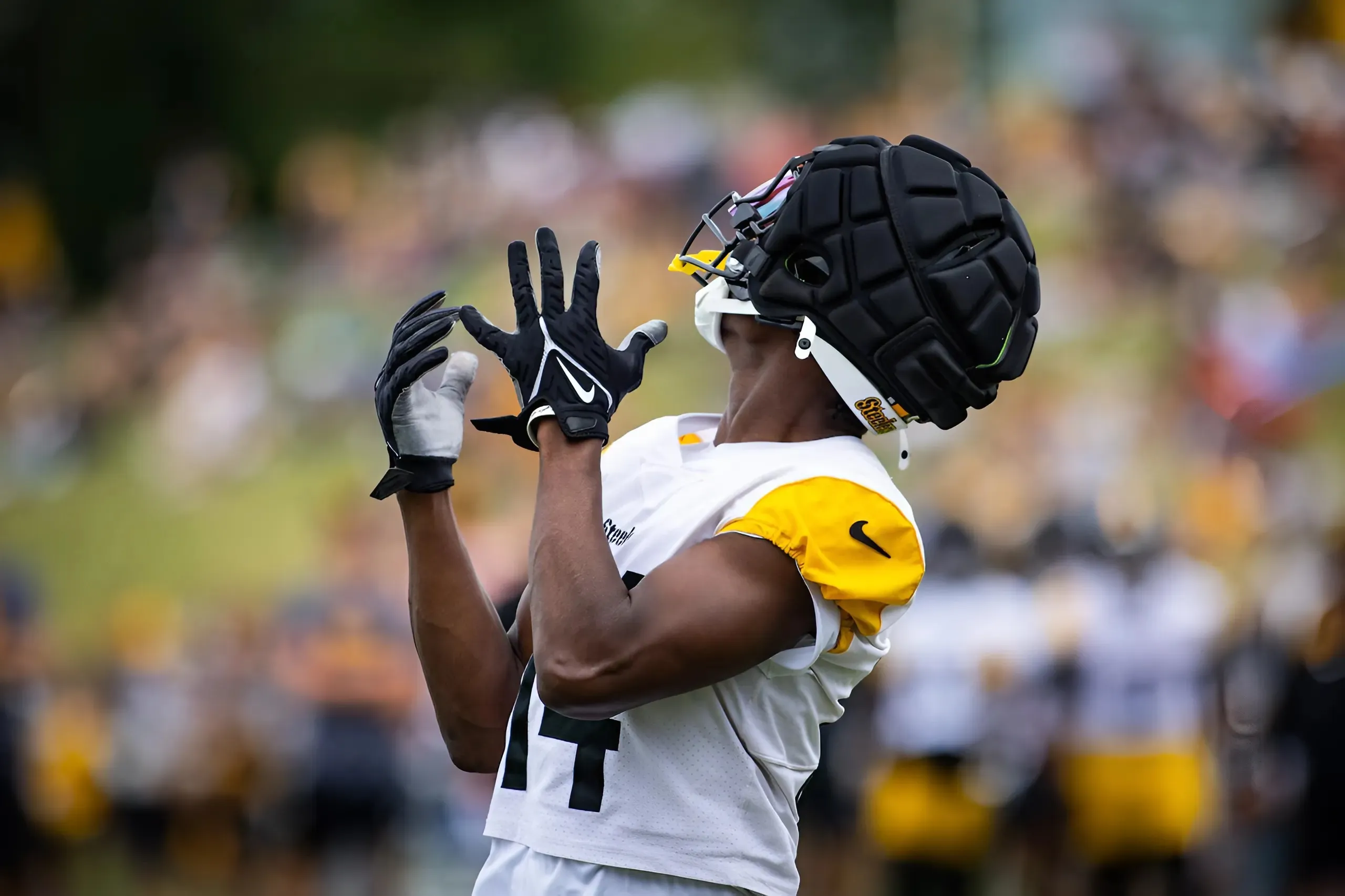 Pittsburgh Steelers new safety has never seen a ‘freak of nature’ like George Pickens