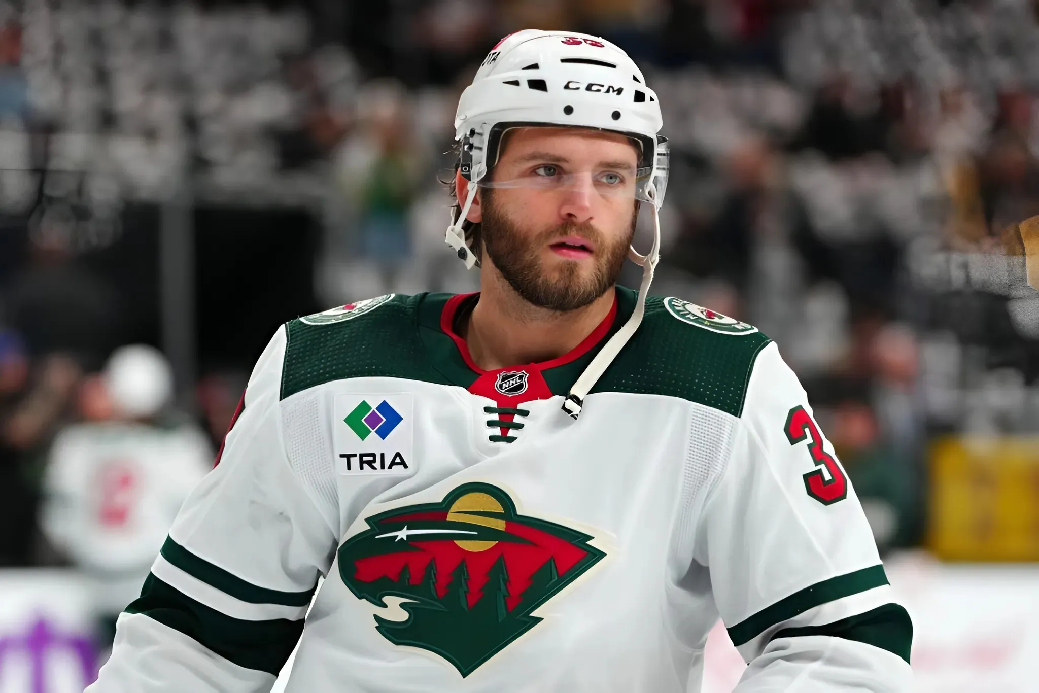 Wild Defenseman Alex Goligoski Retires After 17 NHL Seasons