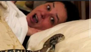 This Woman Slept With Her Pet Snake Every Night Until a Terrible Thing Happened