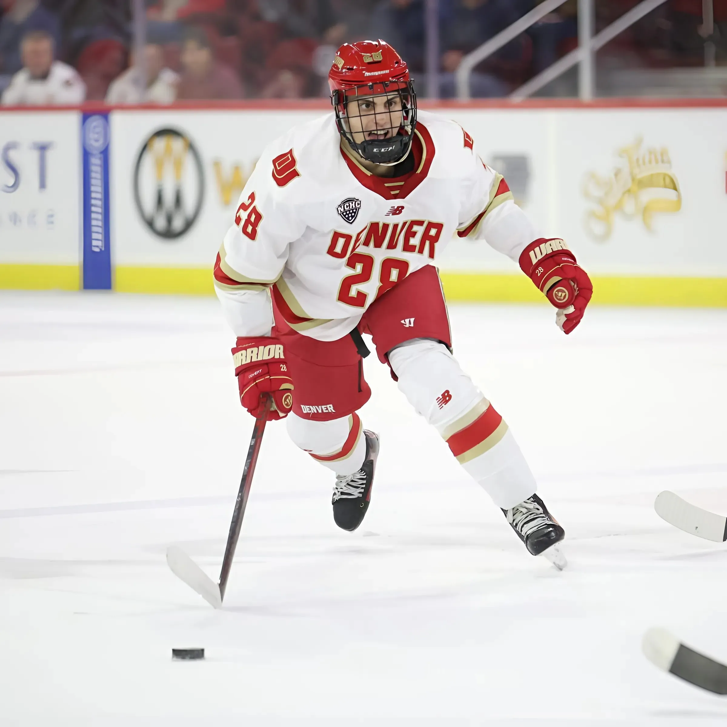 Zeev Buium Brings A New-Age NHL Skillset