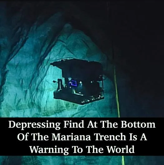 Depressing find at the bottom of the Mariana Trench is a warning to the world