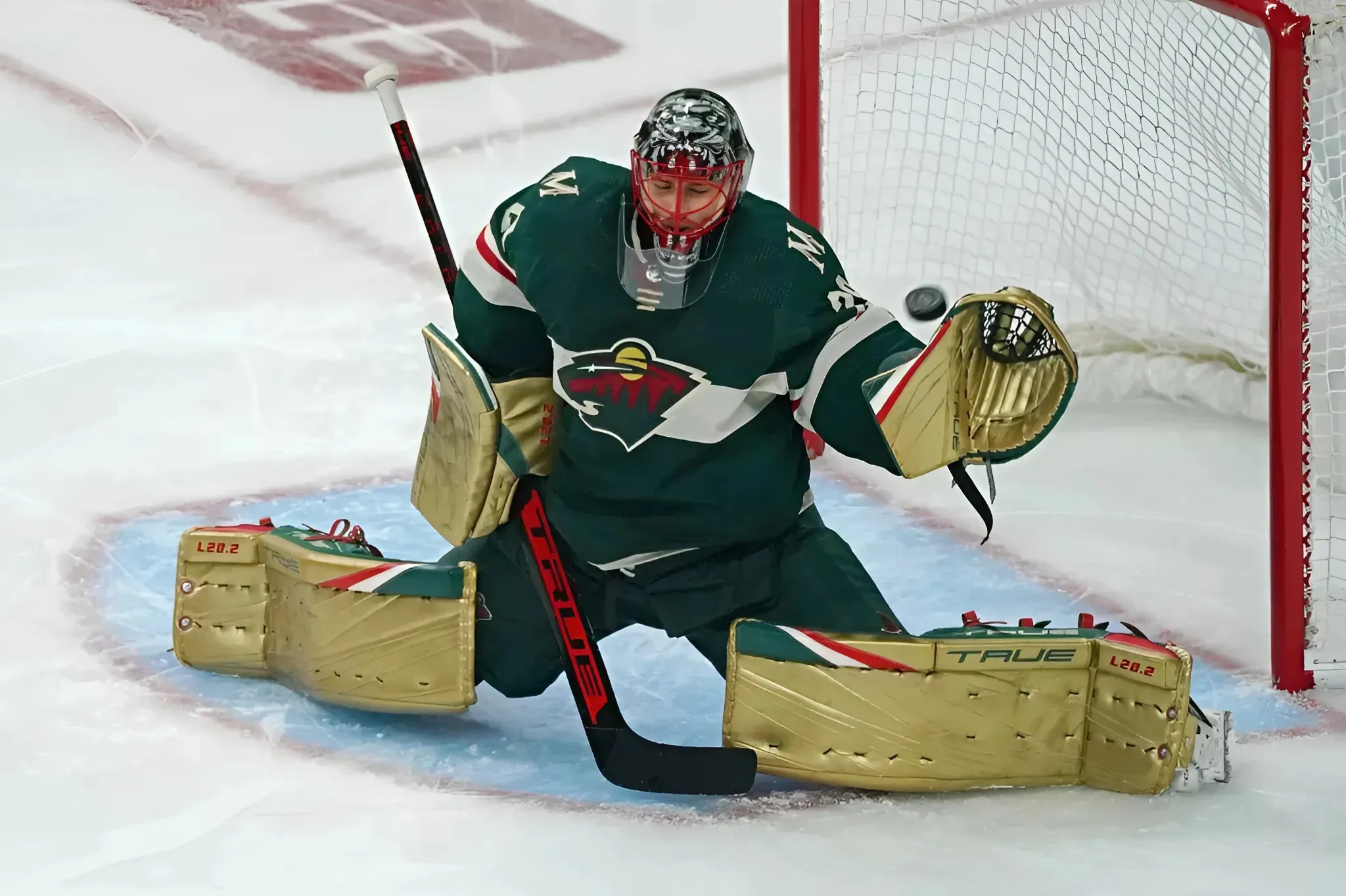 Former Wild Goalie Retires From NHL