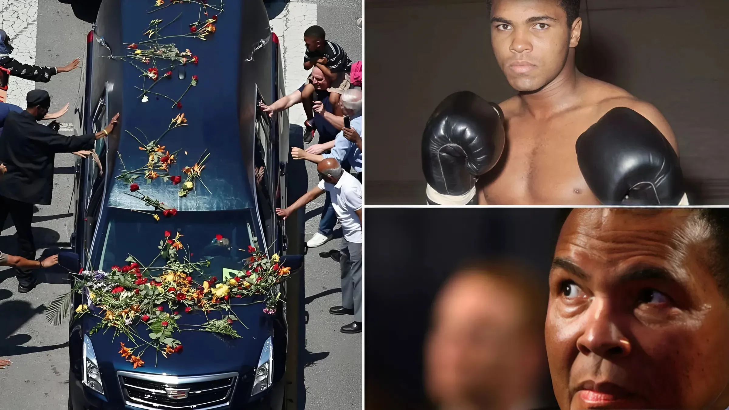 Call for Muhammad Ali's legacy to be improved care for former boxers who suffer brain injuries