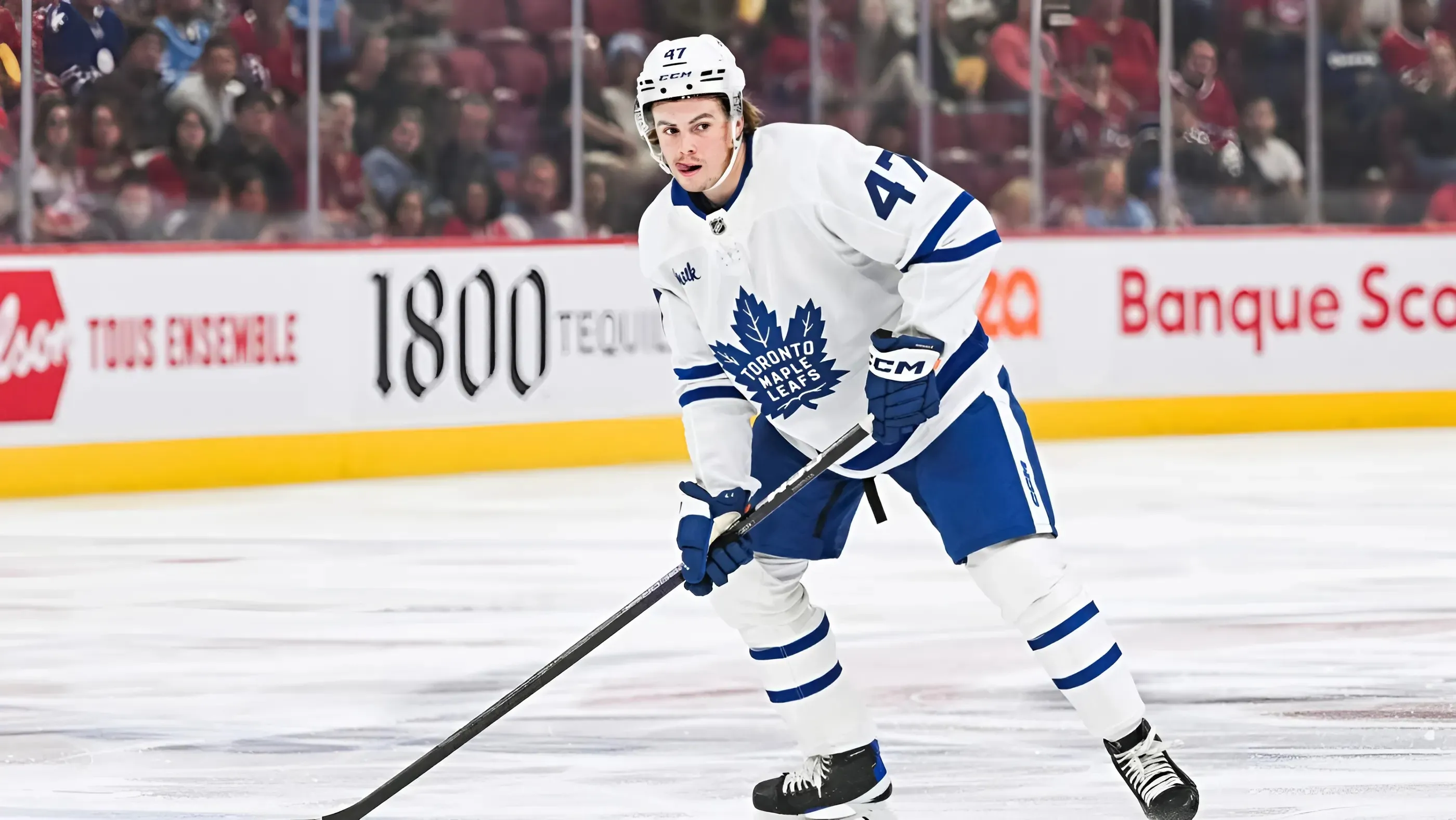 Topi Niemela Among Standouts in Maple Leafs Prospects’ Games