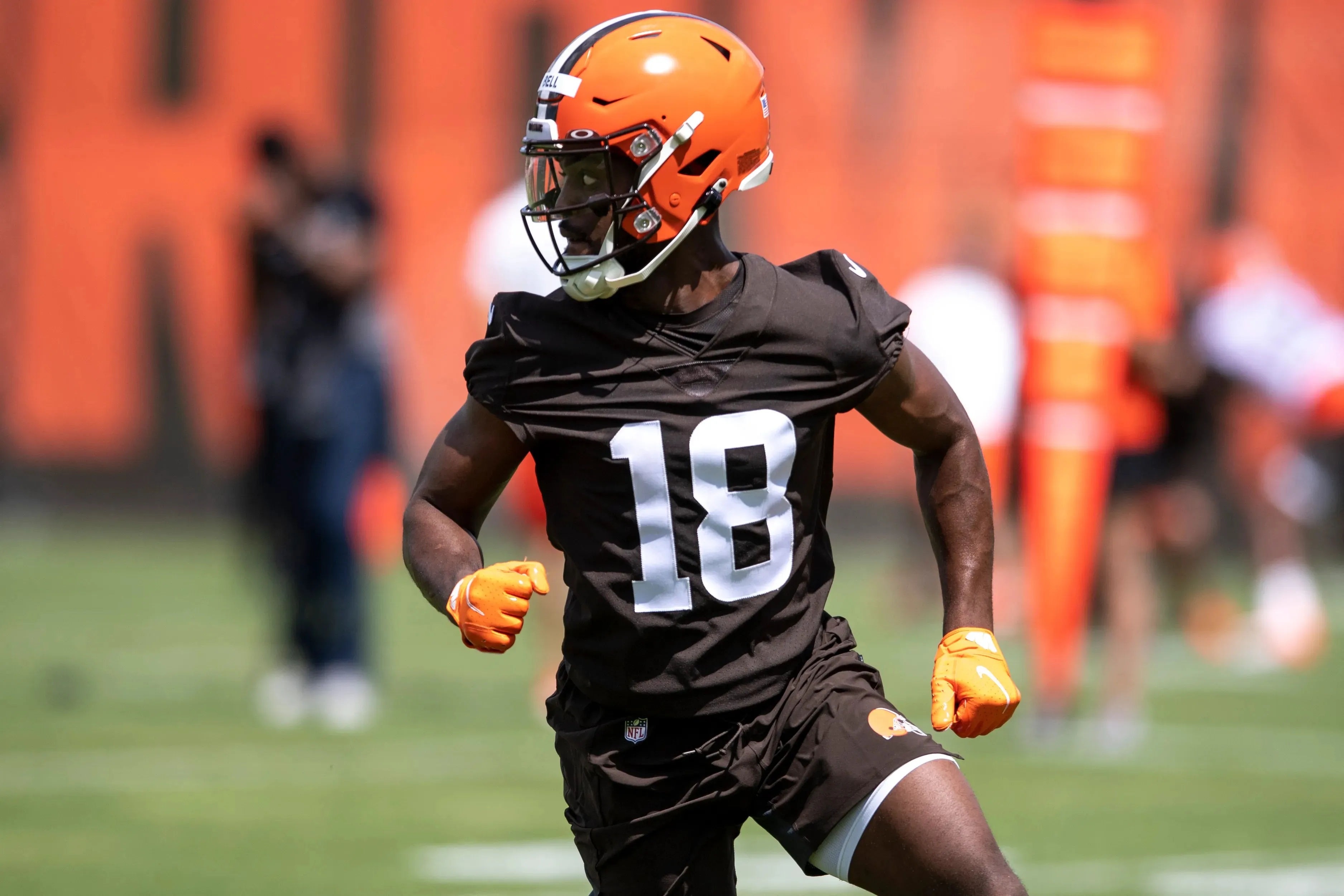 Browns Dealt Devastating Loss as Receiver Ruled Out for Season