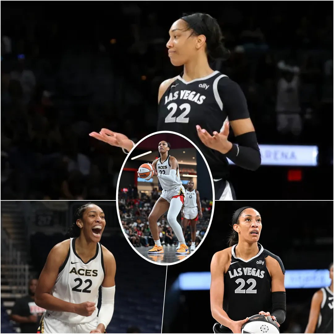 WNBA superstar A'ja Wilson — channeling her inner Michael Jordan — has embraced racial discrimination and made it a point to be proud of.