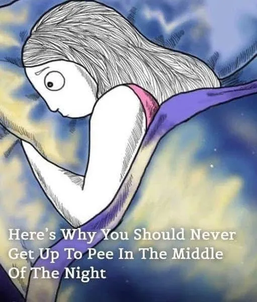 Stop Waking Up to Use the Bathroom at Night: Here’s How Stop Waking Up to Use the Bathroom at Night: Here’s How