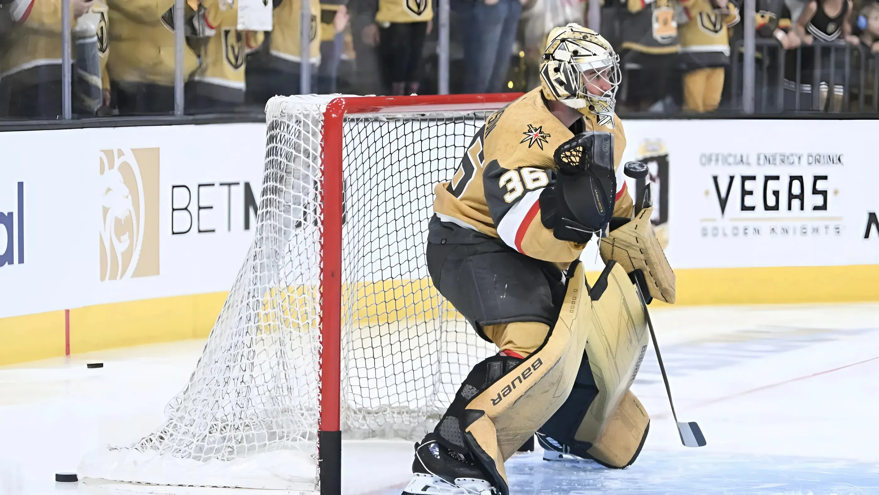 Former Golden Knights goaltender throws some shade at team
