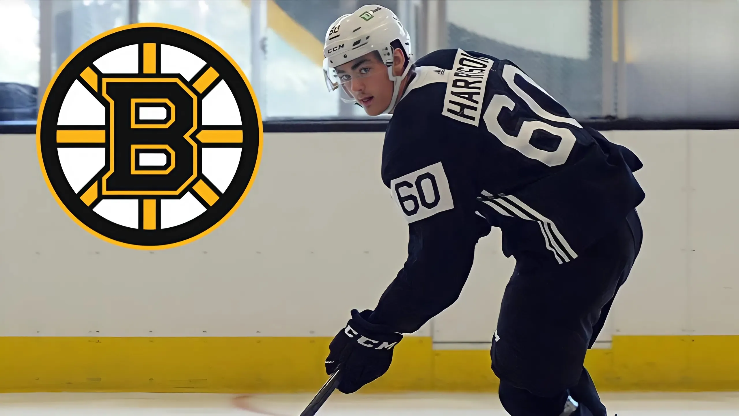 Bruins Prospect Brett Harrison Makes Headway at Training Camp