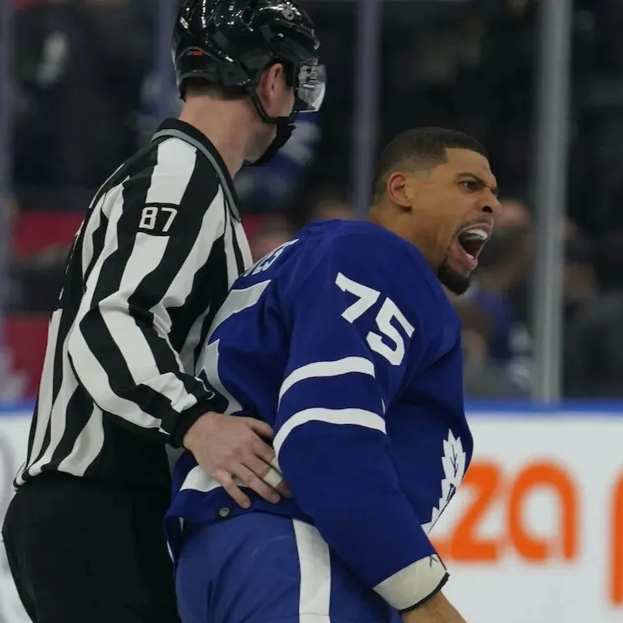 What does a successful 2024-25 season look like for Ryan Reaves?