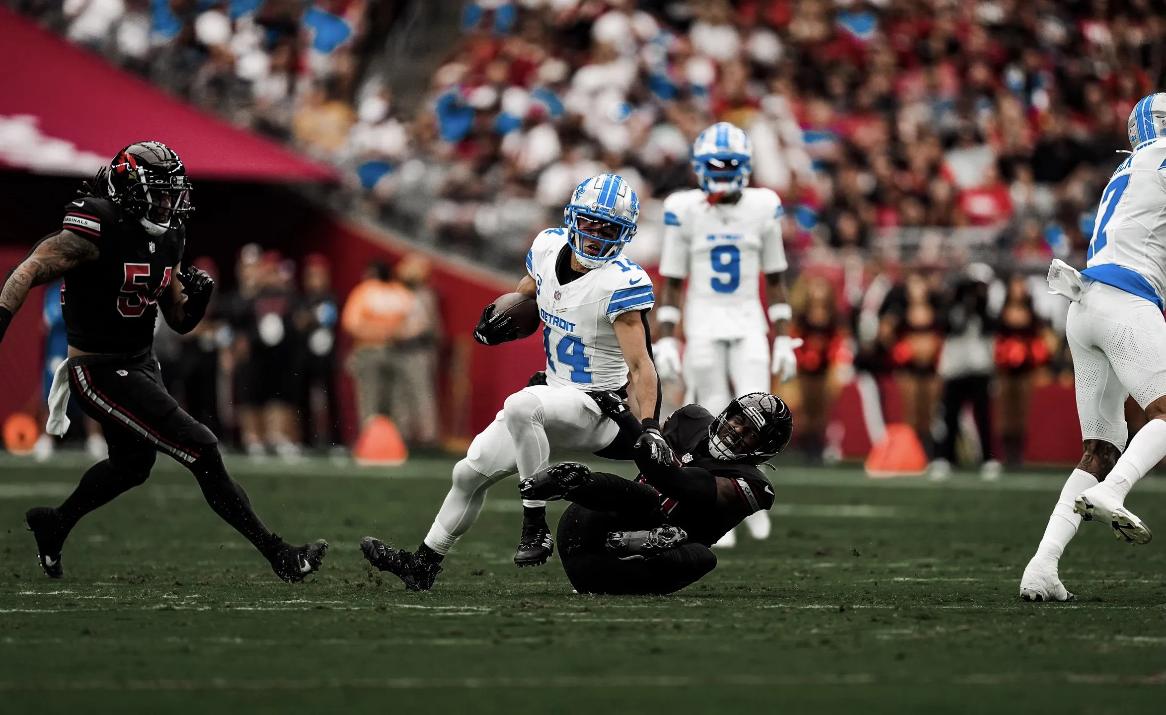 Lions Cool Off Cardinals, Defense Dominates in 20-13 Win