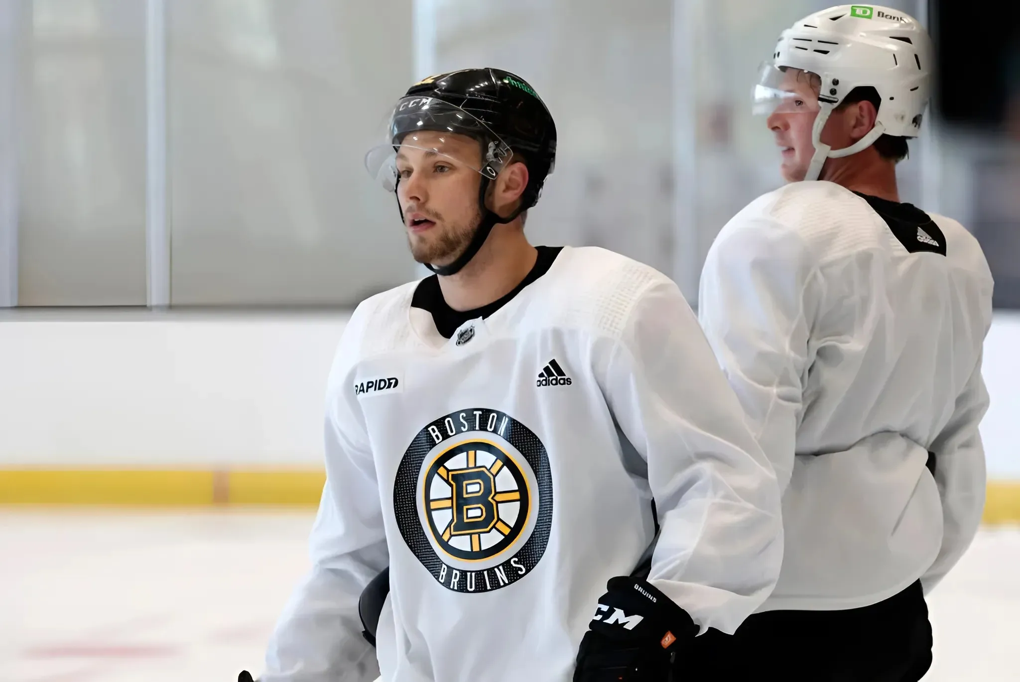 Three Boston Bruins Players to Watch Out for During Preseason