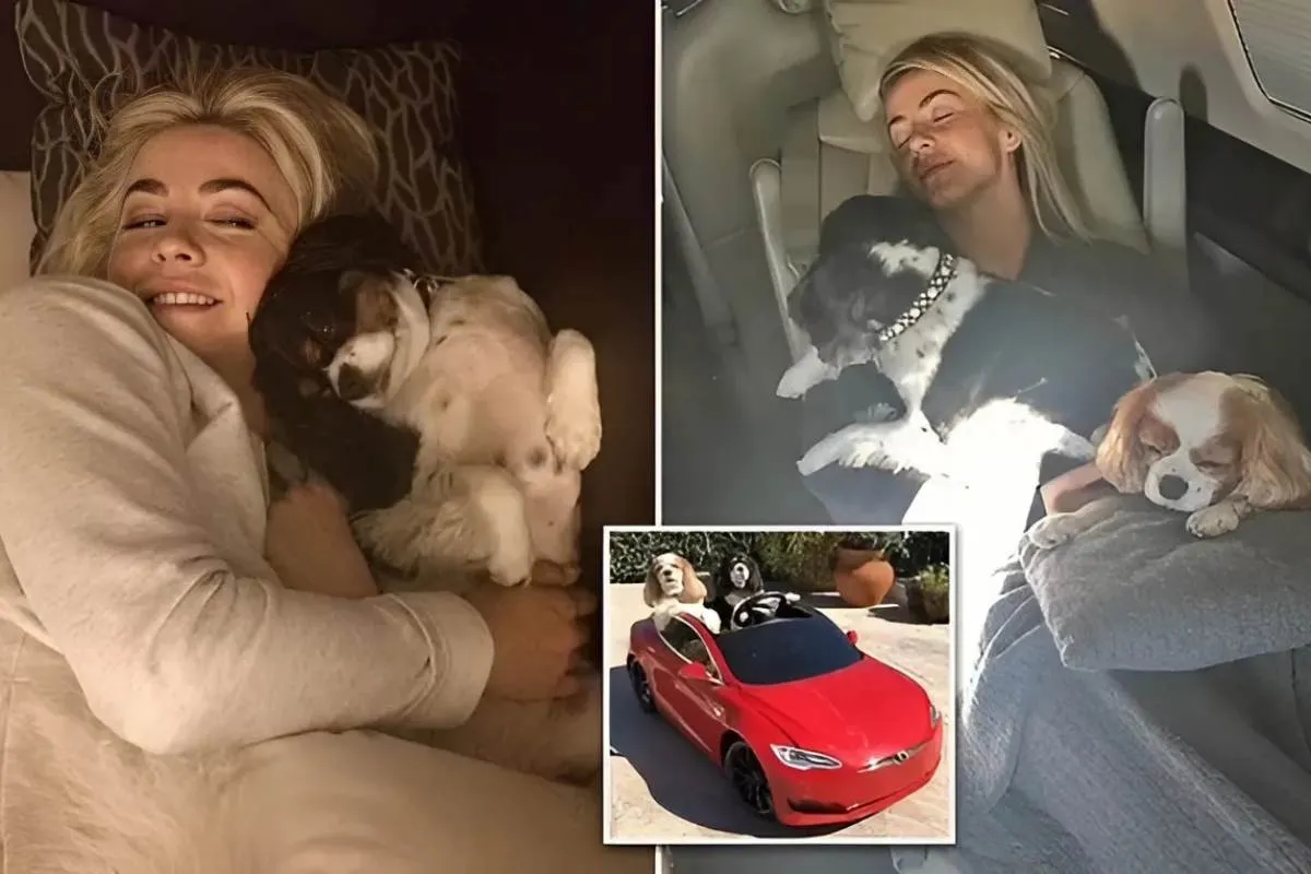 Julianne Hough pays tribute to her dogs Lexi and Harley - five years after they were tragically killed by coyotes tram