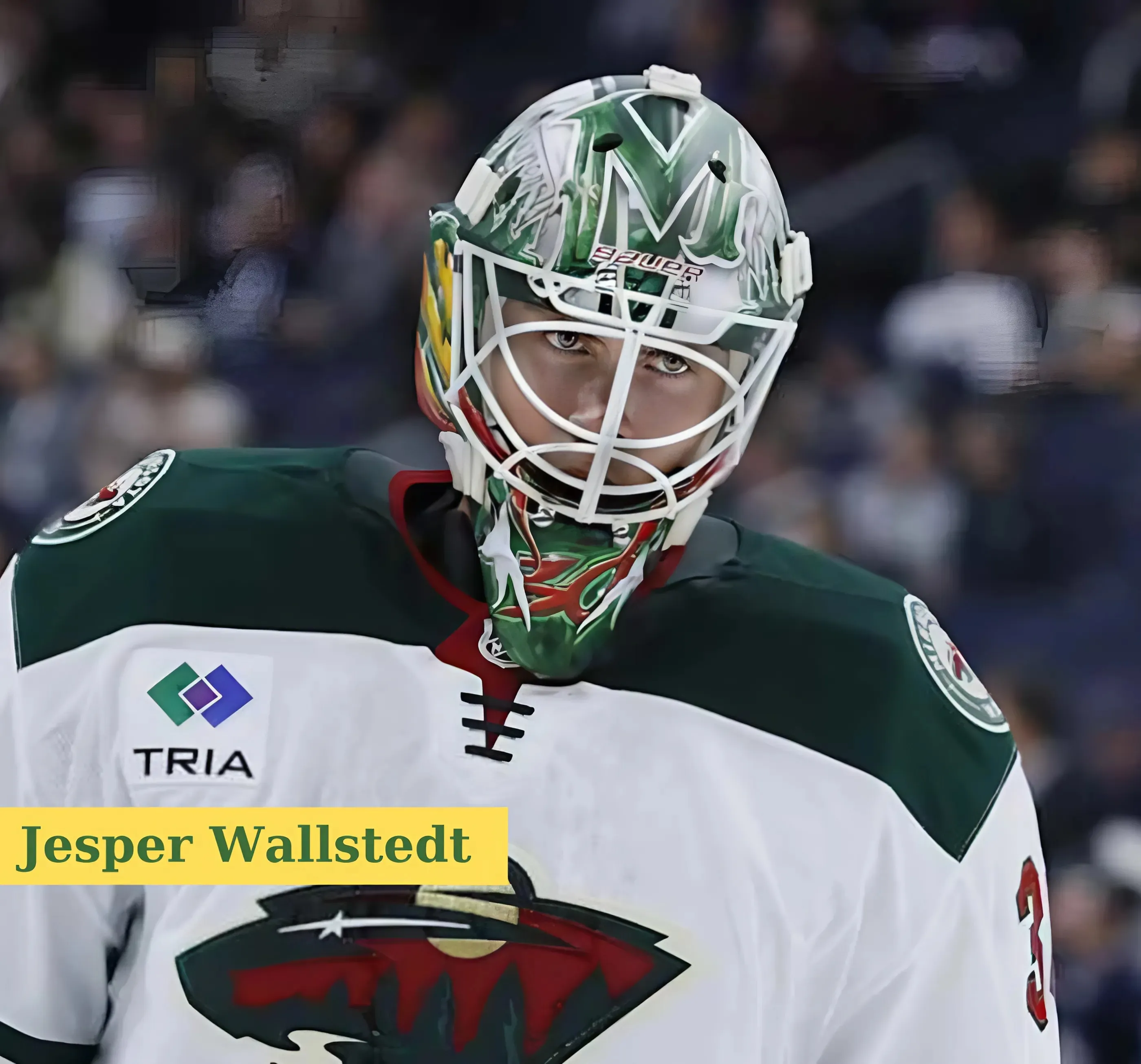 Report: Wild Bringing Extra Goalie Into Season