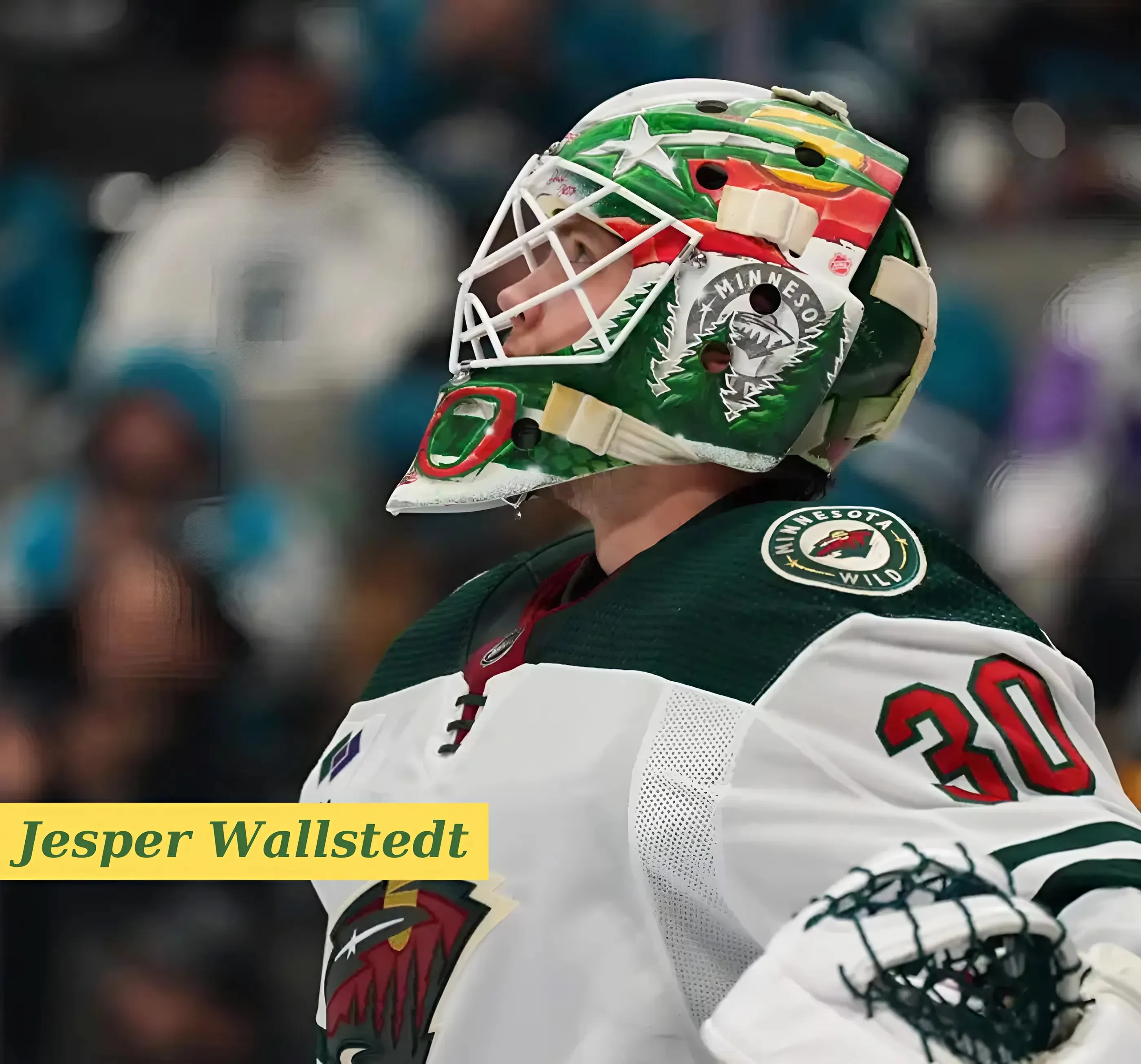 Minnesota Wild sign Jesper Wallstedt to two-year, $2.2 million AAV contract