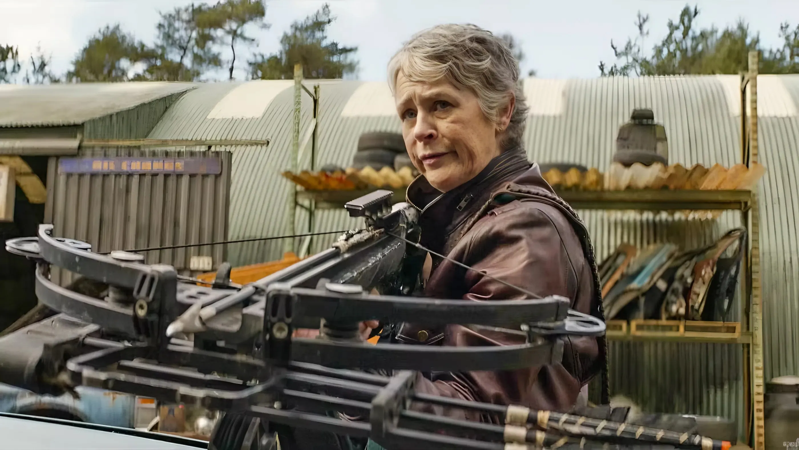 The Walking Dead: Daryl Dixon Showrunner Explains Carol's Odd Season 2 Detour