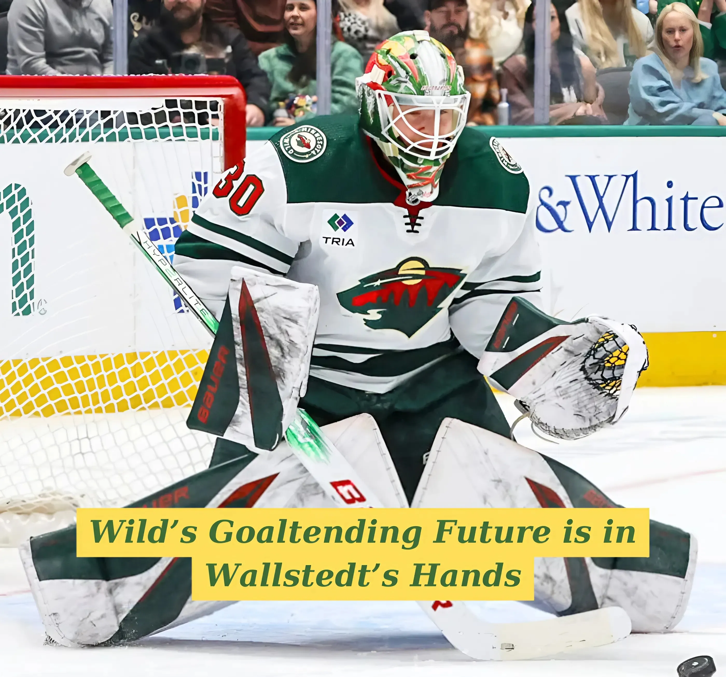 Wild’s Goaltending Future is in Wallstedt’s Hands