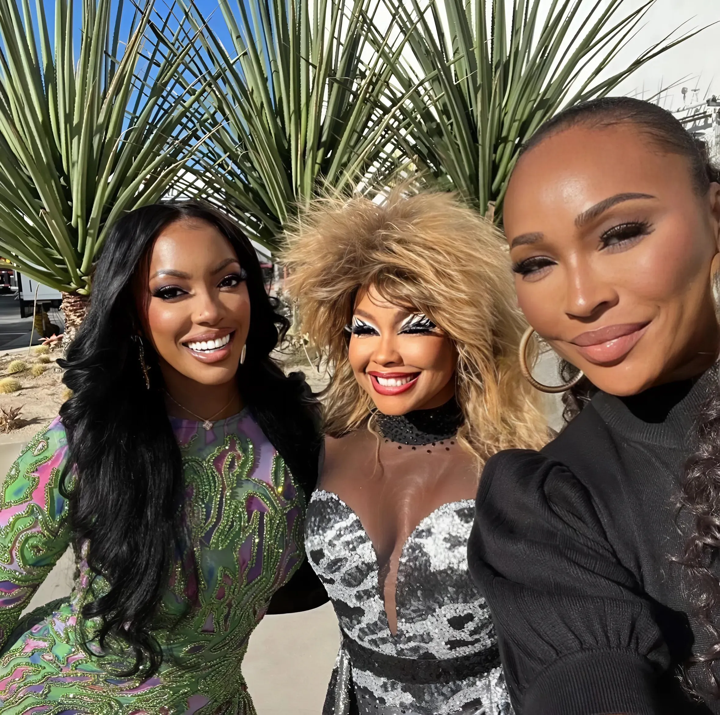 See How Porsha Williams & Cynthia Bailey Are Majorly Supporting Phaedra Parks