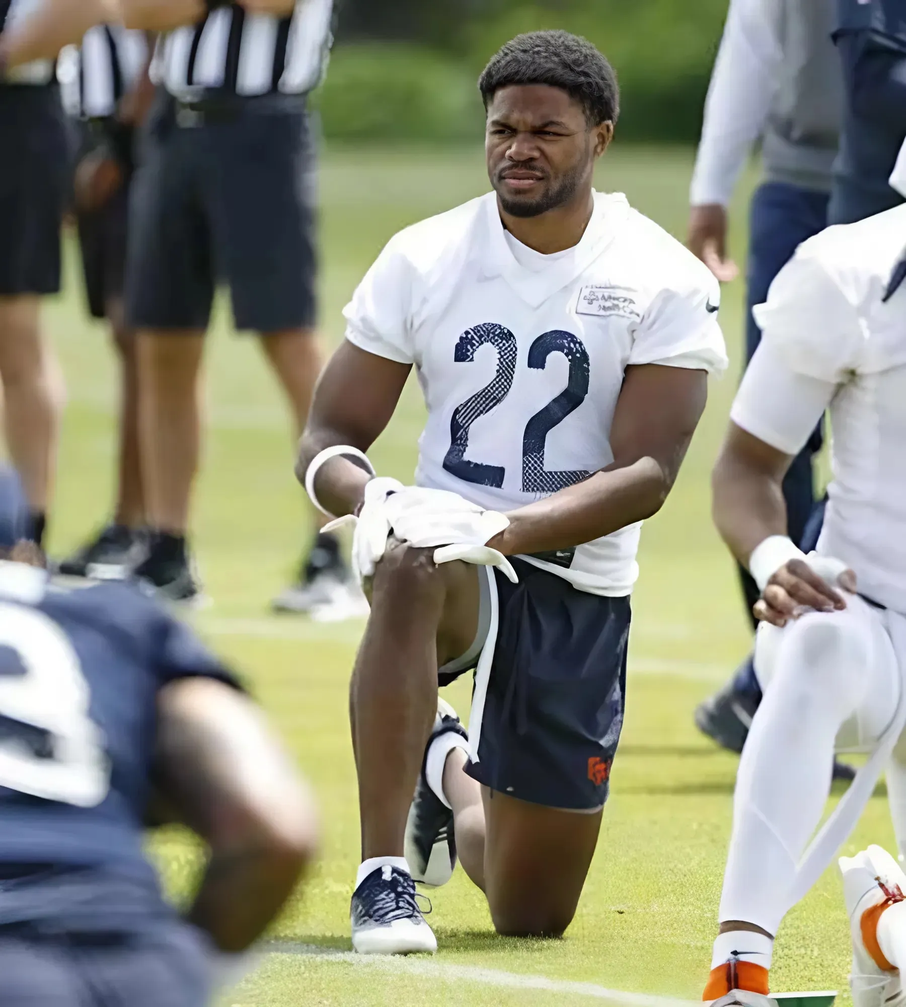 System Experience Means More for the Next Bears Safety Up