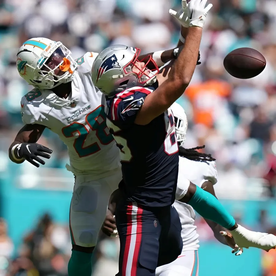 Examining the Dolphins' Long-Range Playoff Outlook