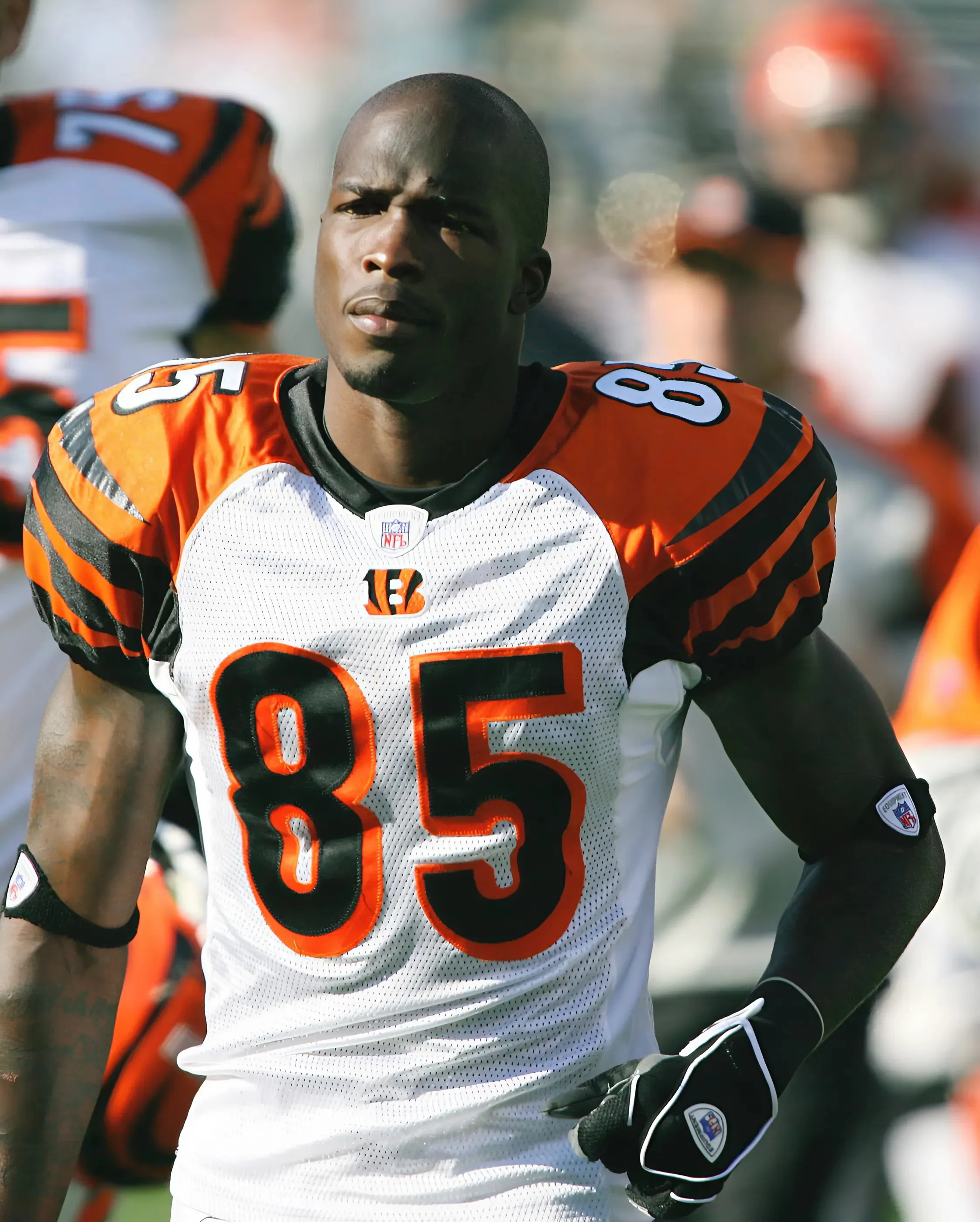 Chad Ochocinco, Steelers legend James Harrison to fight in MMA bout before Super Bowl