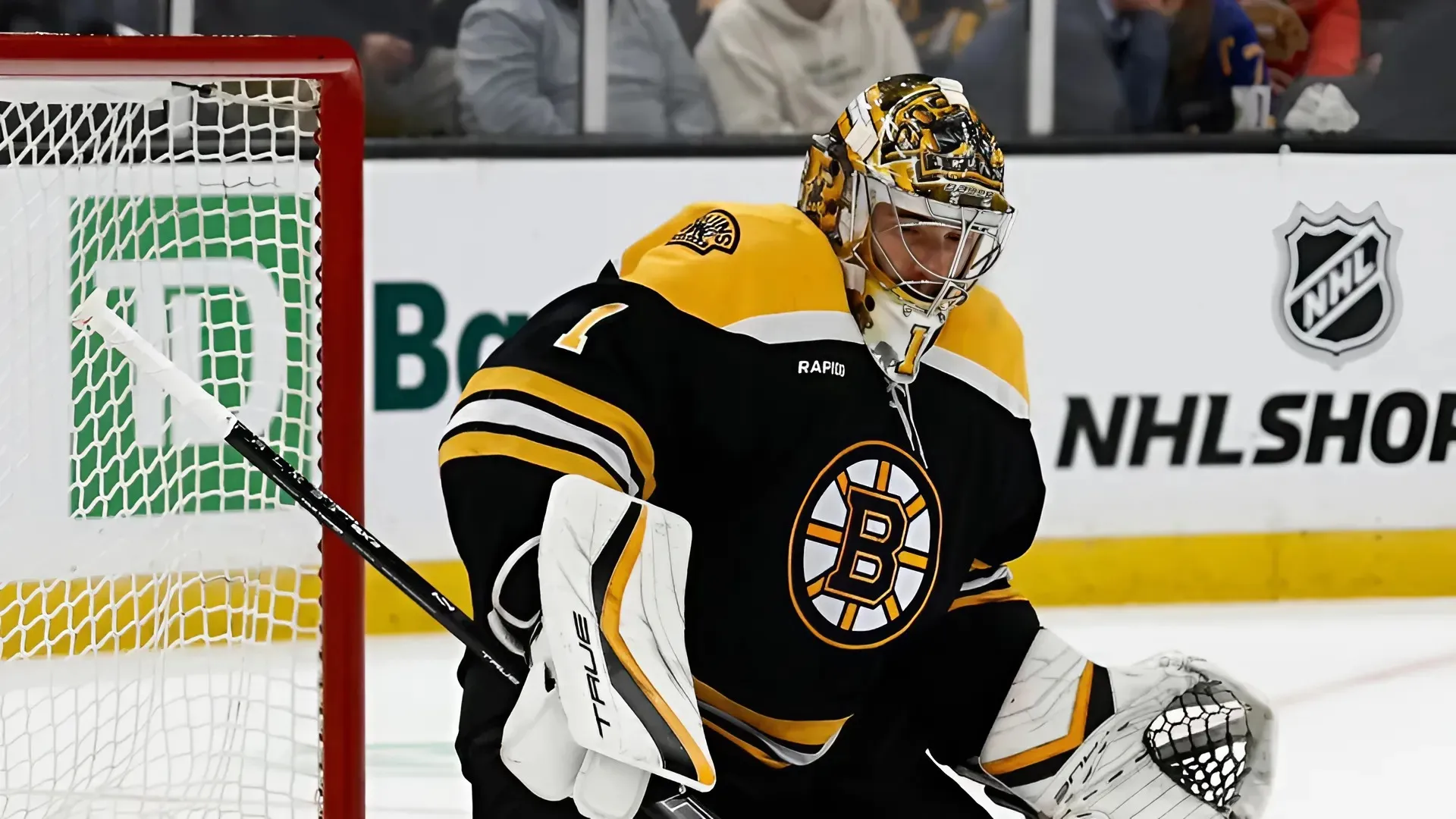 Bruins-Utah Hockey Club Projected Lines: Boston Makes Inaugural Visit