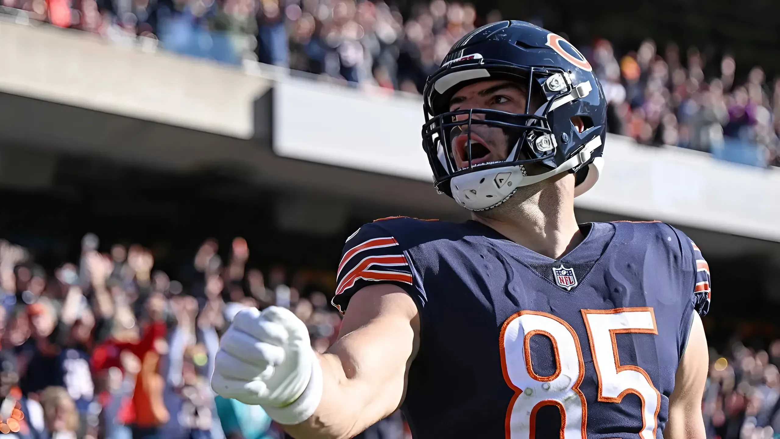 Cole Kmet's Explosive Comment Reveals Bears Are Thinking Big