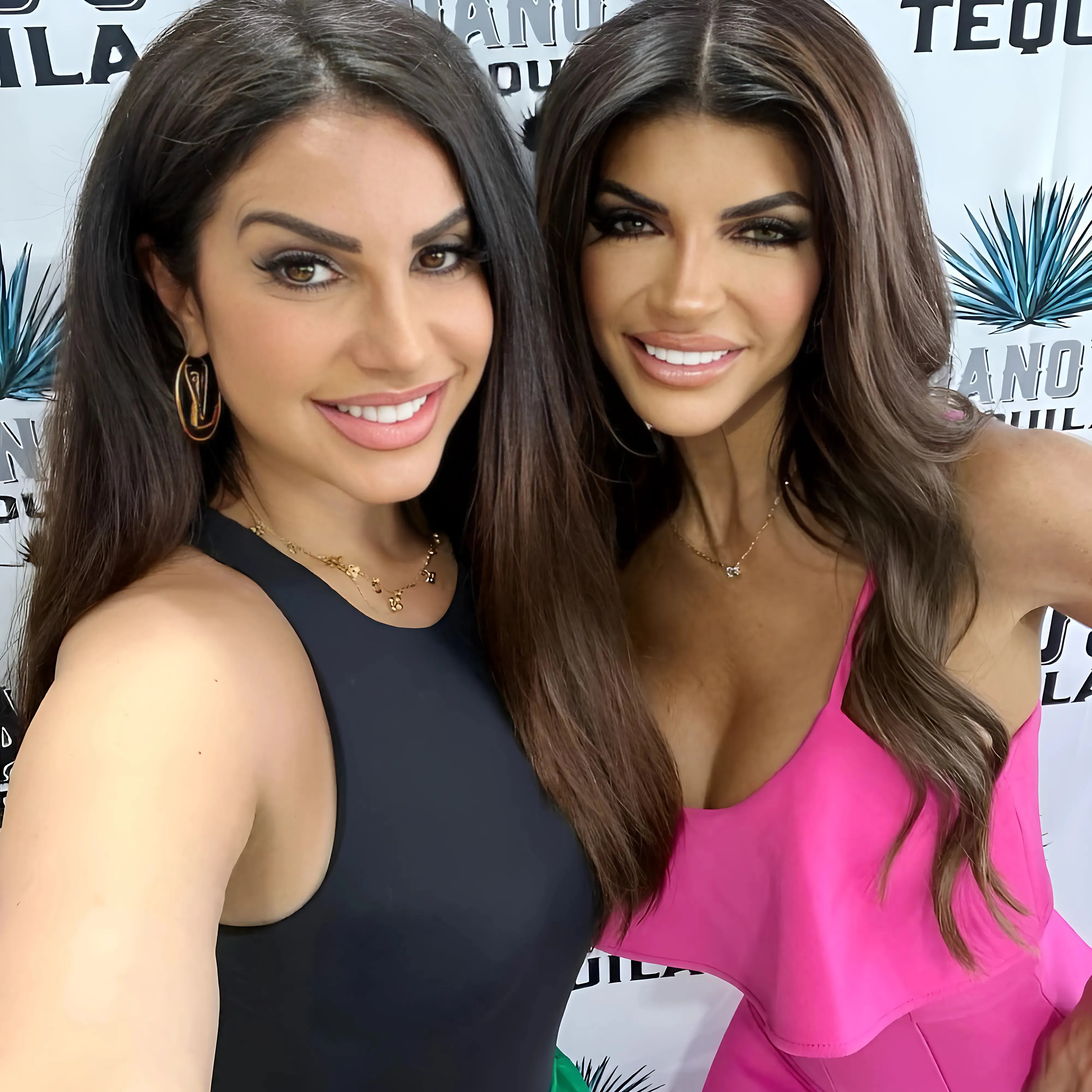 Jennifer Aydin Reveals RHONJ Would Collapse Without Teresa Giudice, Admits She Wanted to 'Shame' Husband Over Affair Scandal