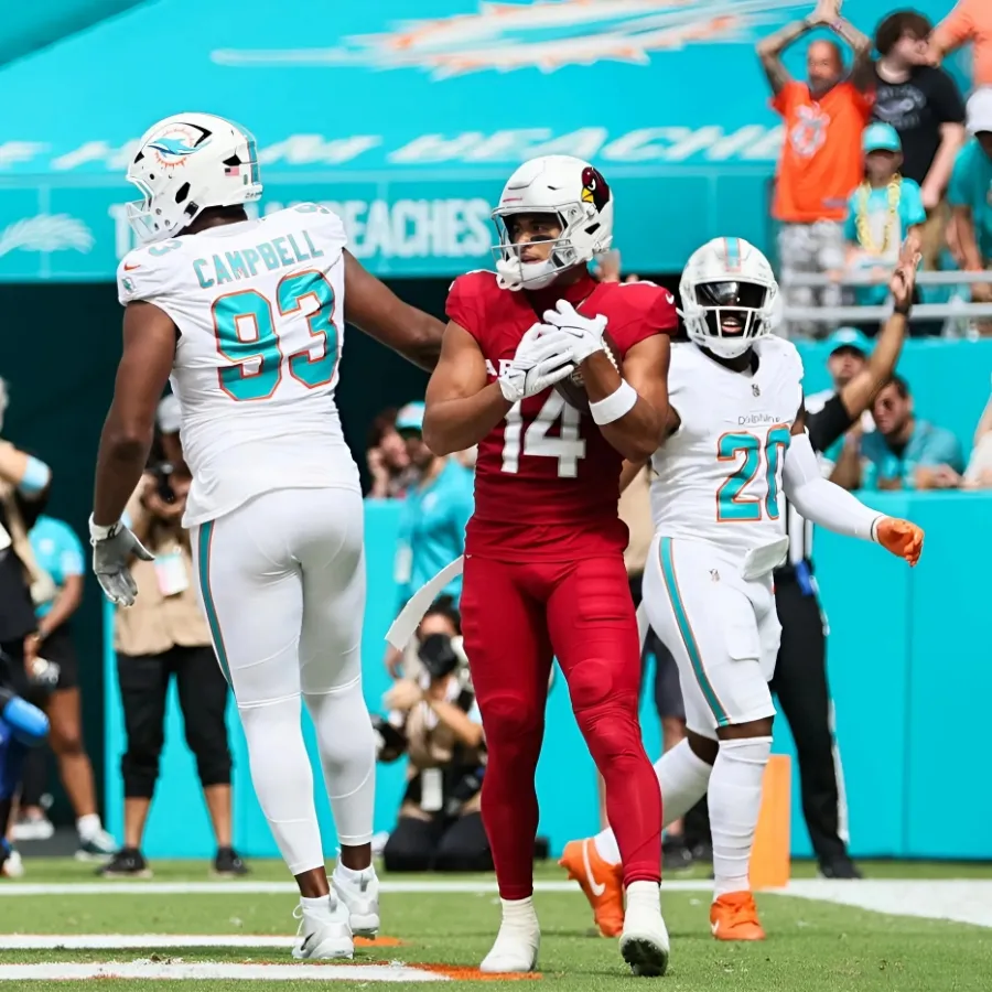 Dolphins most to blame for Week 8 loss to Cardinals