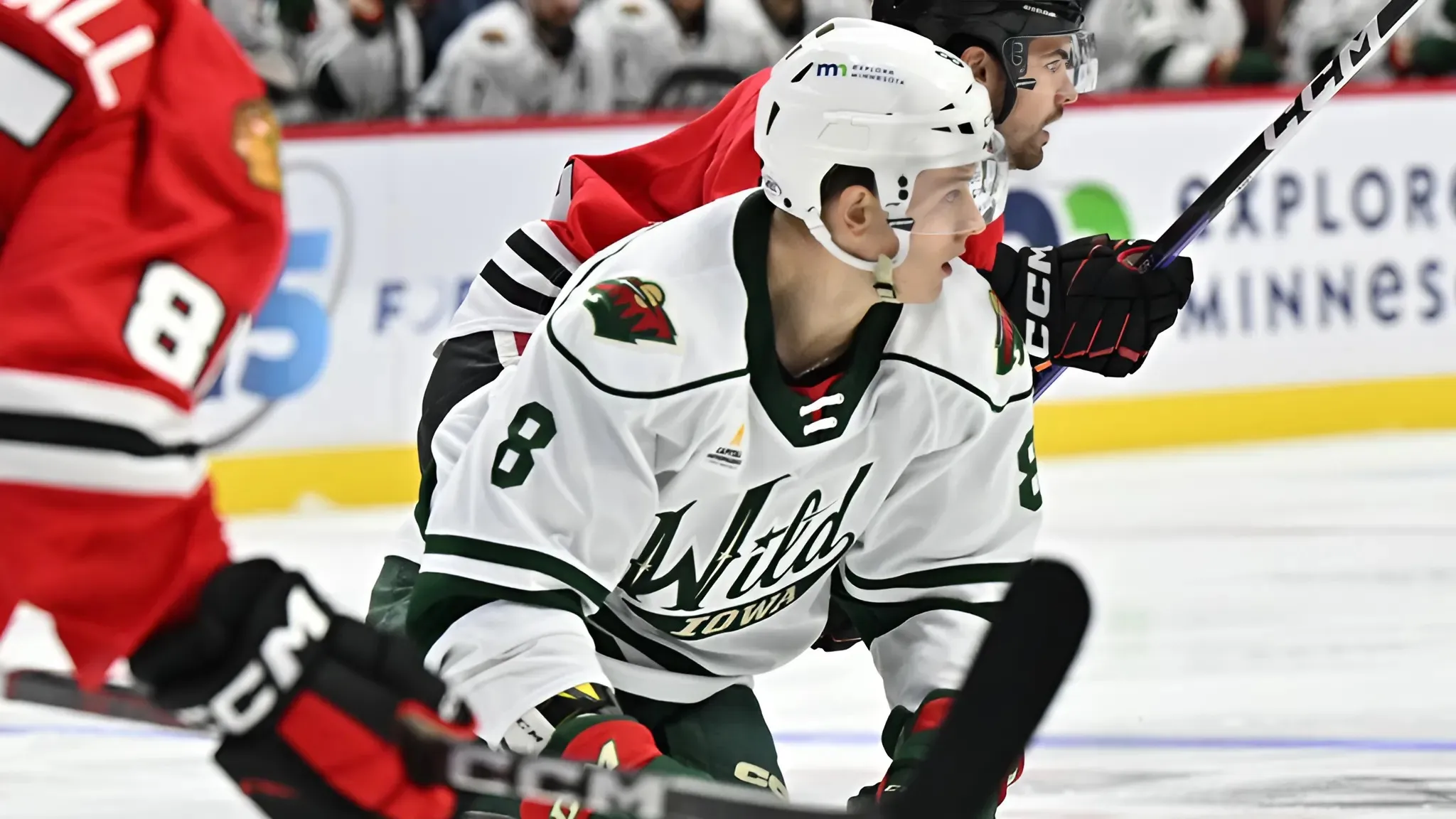 Wild Place Pavel Novak On Unconditional Waivers