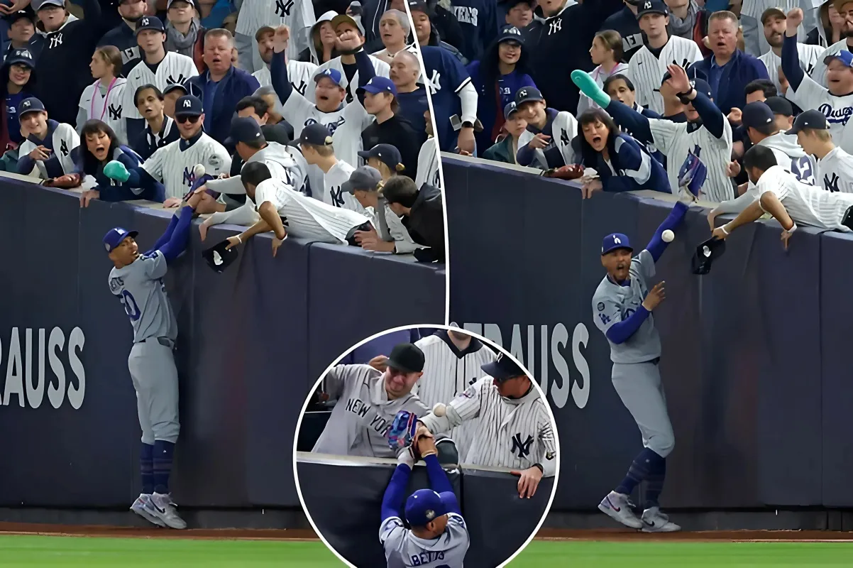 What brother of combative Yankees fan saw on wild interference play: ‘Not good’ - lulu